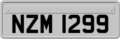 NZM1299