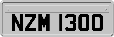 NZM1300