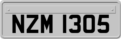 NZM1305