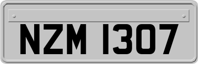 NZM1307