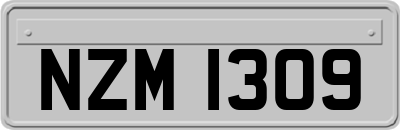 NZM1309