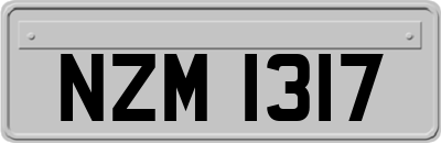 NZM1317