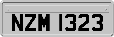 NZM1323