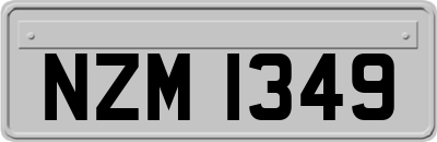 NZM1349