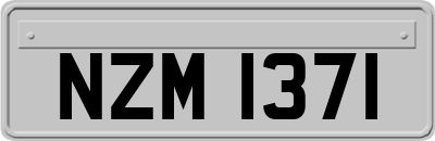 NZM1371