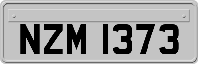 NZM1373