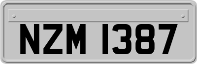 NZM1387