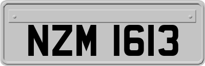 NZM1613