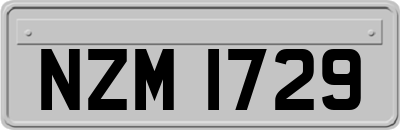 NZM1729