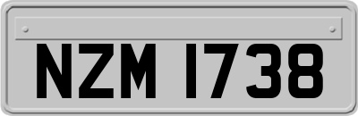 NZM1738