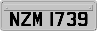 NZM1739