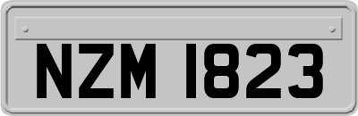 NZM1823