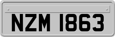 NZM1863