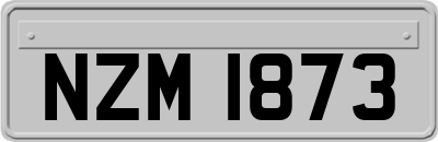 NZM1873