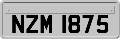 NZM1875