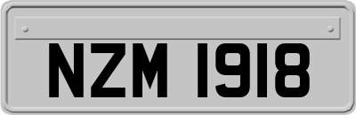 NZM1918