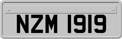 NZM1919