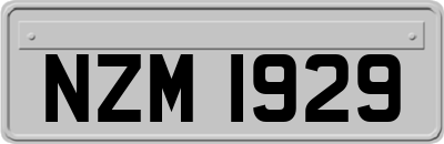 NZM1929