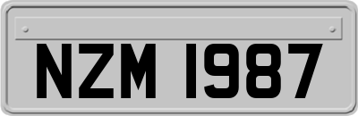 NZM1987