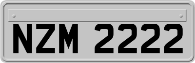 NZM2222