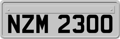 NZM2300