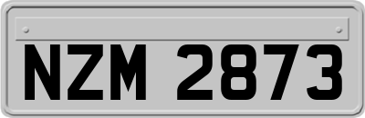 NZM2873