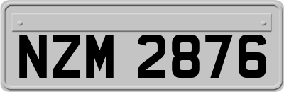 NZM2876
