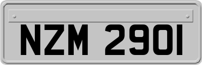 NZM2901