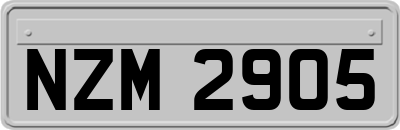 NZM2905