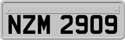 NZM2909