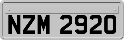 NZM2920