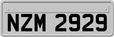NZM2929