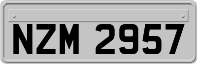 NZM2957