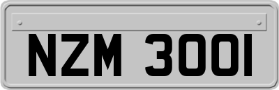 NZM3001