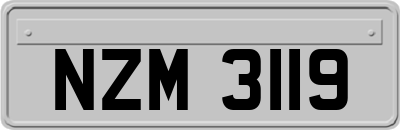 NZM3119