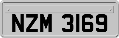 NZM3169