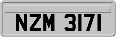 NZM3171