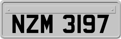 NZM3197