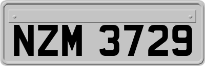 NZM3729
