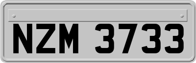 NZM3733