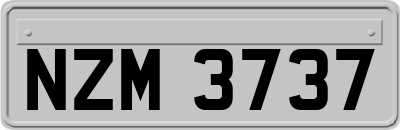 NZM3737