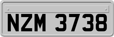 NZM3738