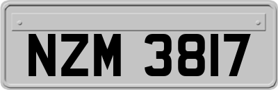 NZM3817
