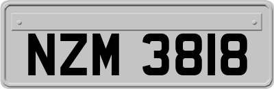 NZM3818