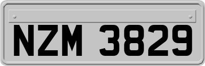 NZM3829