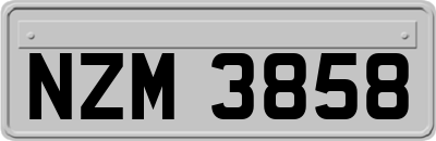 NZM3858