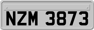 NZM3873
