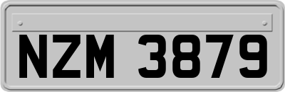 NZM3879