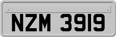 NZM3919
