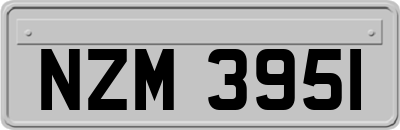 NZM3951